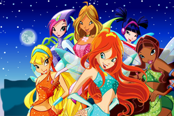 WinX 2-3 Night