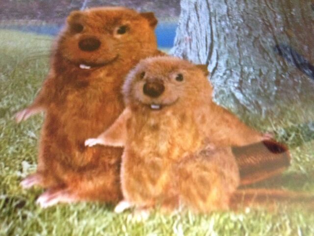 File:Beaverwonderpets.jpg
