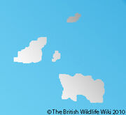 Channel Islands absent