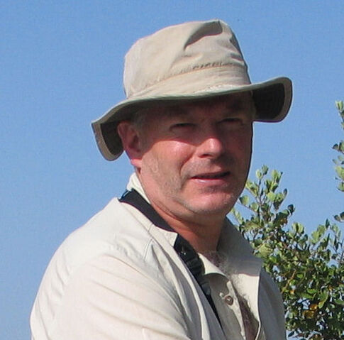 File:Burhinus in the field.jpg