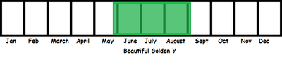 Beautiful Golden Y TL