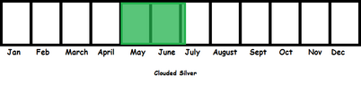 Clouded Silver TL