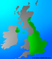 Ruddy Duck map