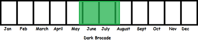 Dark Brocade TL