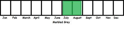 Marbled Grey TL