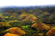 Bohol