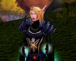 WoWScrnShot 020508 021117