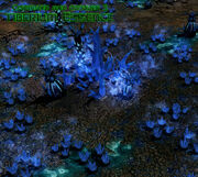 TiberiumTreeBlue01