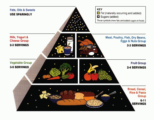 File:USDA Food Pyramid.gif