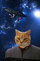 Thumbnail for version as of 08:52, February 19, 2012