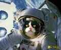 Thumbnail for version as of 02:35, September 9, 2011