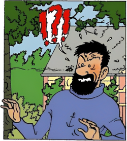 Haddockangry