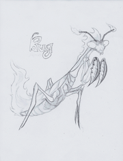 Bug