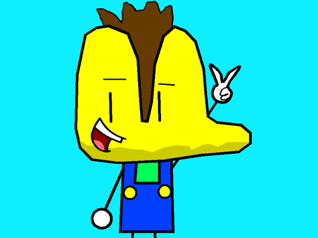 File:HatlessKTM.png