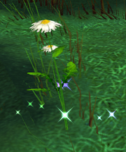 Yellow bulb wild