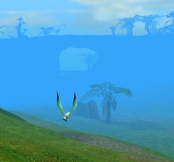 Plum Hill Scene Image1