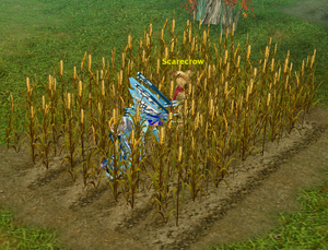 A player gathering (planting)