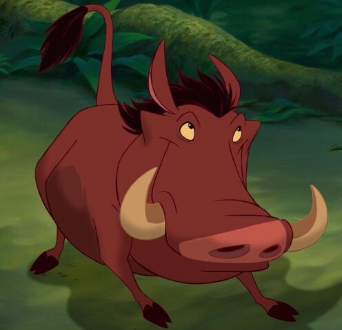 Plik:Pumba.jpg