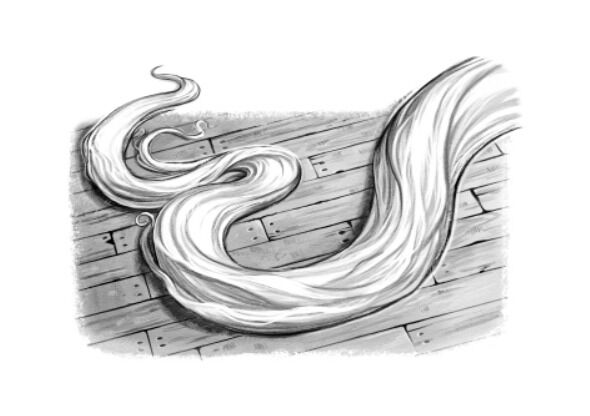 File:Rapunzelshair.jpg
