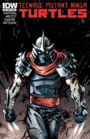 TMNT 10A