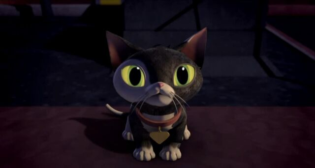 File:Cat.jpg