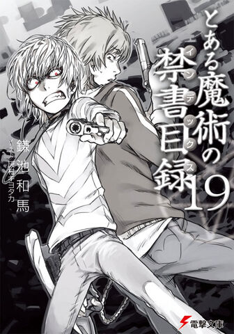 File:Toaru Majutsu no Index Light Novel v19 cover.jpg