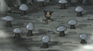 Earth Star surrounded by Toadstools