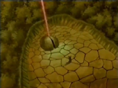 Fairy Ring 3