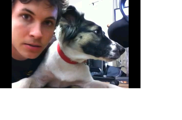 File:Gypsy dog.png