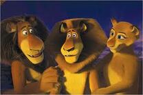 Madagascar21