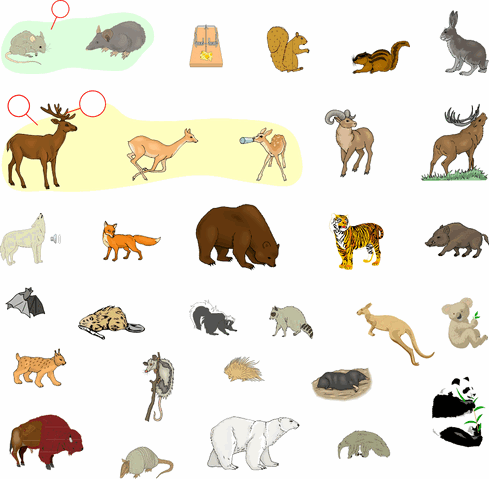 File:mammals.gif