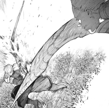 Arima dég.png