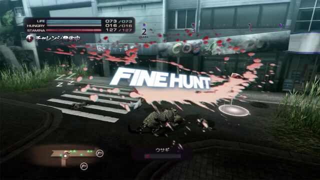File:Cheetahhunt.jpg