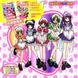 Café uniforms