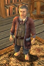 PaladinoTuc LOTRO