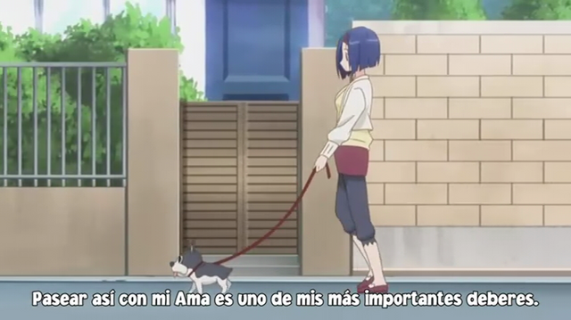 Archivo:Vlcsnap-2013-12-26-15h34m09s16.png