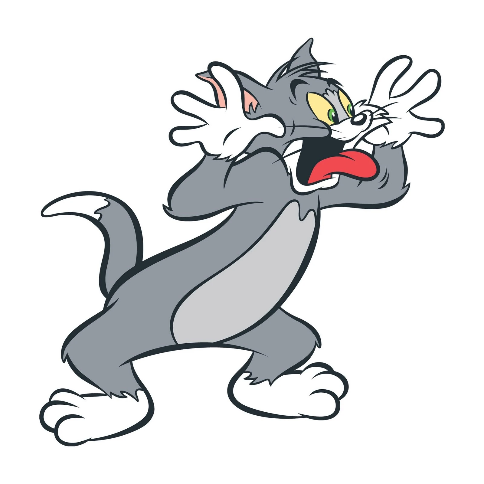 Image Tom Cat.jpg Tom and Jerry Wiki FANDOM powered by Wikia