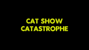 Cat Show Catastrophe