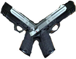 Laraguns.jpg