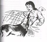 Dingo&Sally.jpg