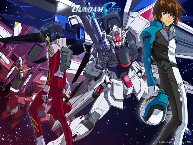 File:Gundam-seed-gundam-seed-destiny-24054275-1024-768.jpg