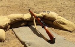 Lee-enfield rifle 3