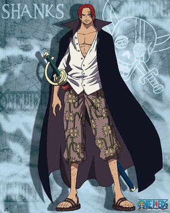 One-piece-poster-shanks