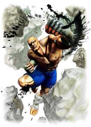 Sagat