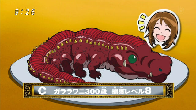 File:Galala Gator GFT.jpg
