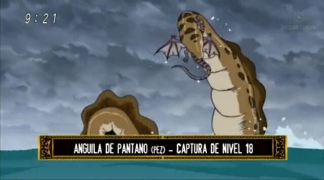 Archivo:Anguila.jpg