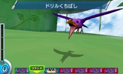 DrillBirdGM