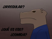 Rak-comida-Irregular.jpg