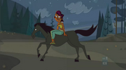 SierraEliminationHorse