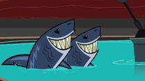SharksLove